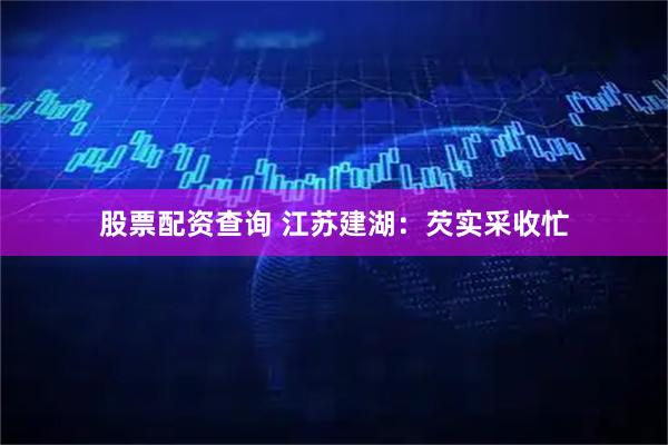 股票配资查询 江苏建湖：芡实采收忙