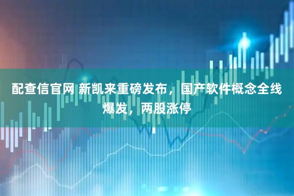 配查信官网 新凯来重磅发布，国产软件概念全线爆发，两股涨停