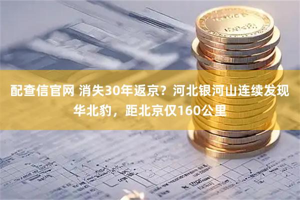 配查信官网 消失30年返京？河北银河山连续发现华北豹，距北京仅160公里