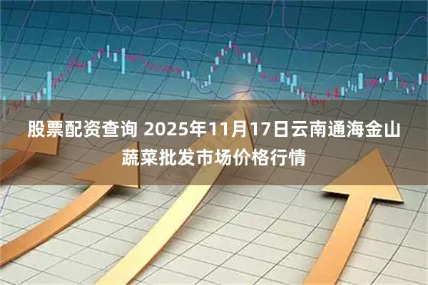 股票配资查询 2025年11月17日云南通海金山蔬菜批发市场价格行情