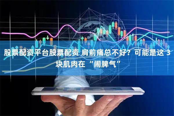 股票配资平台股票配资 肩前痛总不好？可能是这 3 块肌肉在 “闹脾气”