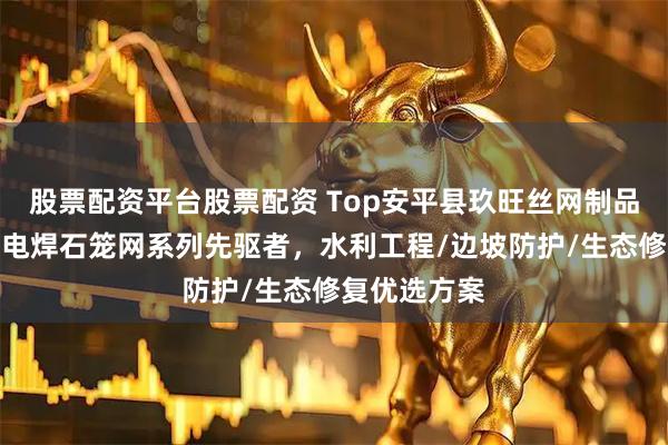 股票配资平台股票配资 Top安平县玖旺丝网制品有限公司：电焊石笼网系列先驱者，水利工程/边坡防护/生态修复优选方案