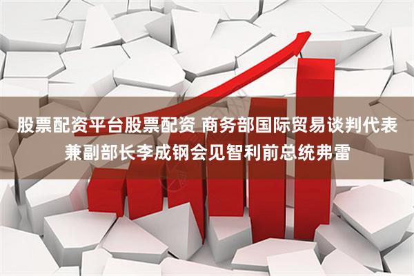 股票配资平台股票配资 商务部国际贸易谈判代表兼副部长李成钢会见智利前总统弗雷