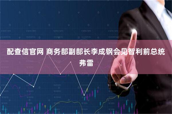 配查信官网 商务部副部长李成钢会见智利前总统弗雷
